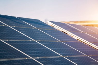 Yerden Bağlı Güneş Paneli Dizisi. Yerden Yükselen Güneş enerjisi. Fotovoltaik Paneller Eylemde