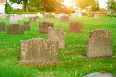 Güneşli bir günde mezarlık. Mezarlık mezarlığı beyaz ve gri mezar taşları.