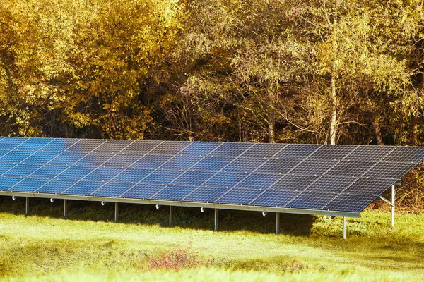 Photovoltaic Panels in a Solar Park Generating Clean Energy. Ground-Mounted Photovoltaic Panels Embracing Renewable Energy