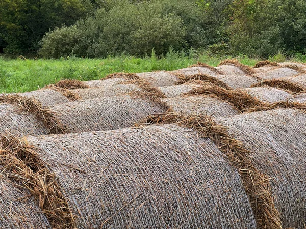 Close-up of hay for the winter stacked in the field, providing food and forage for their horses and cows in the countryside. Winter preparations in the countryside