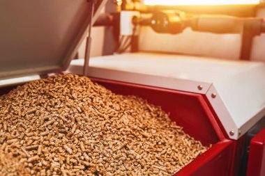 Sıkışmış ahşap topakları yeşil ve ekonomik yakıt kaynağı olarak kullanan bir pelet sobası, ateş ve teknolojiyle yerli bir fırını ısıtıyor..