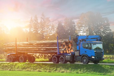 Orman iş başında. Yol kenarında ağır bir ahşap kütük taşıyan bir kamyon var. Timber Taşımacılık. Otobanda yüklü bir kamyonun yan görüntüsü. Kereste işleme kavramı.