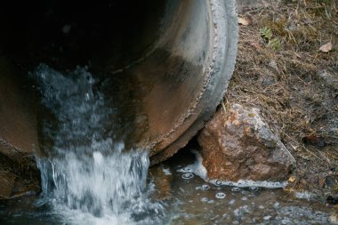 Nehir, doğal ekosisteme zarar vermek için suya atık döken bir drenaj borusundan kaynaklanan endüstriyel atıkla kirlenmiş..