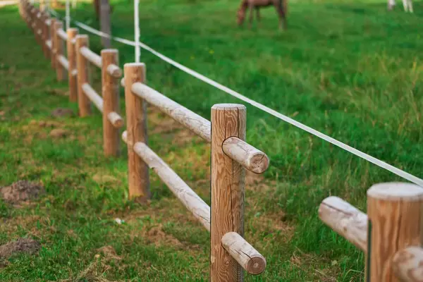 Electric fence on the field protecting horses. Electric fence for livestock. Fence post with electric wires and insulators in the farm