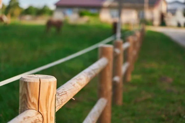 Wooden fence with an electric fence for livestock. Livestock Security and Ensuring Safety. Electric Fence Guarding Horses and Cows in the Field