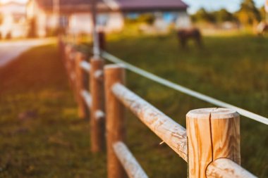 Kablolu ve yalıtkan ekipmanlı elektrikli bir çit, çiftlik hayvanlarına güvenlik ve bakım sağlayan, at ve ineklerin otlaklarla beslendiği bir otlağı güvence altına alıyor..