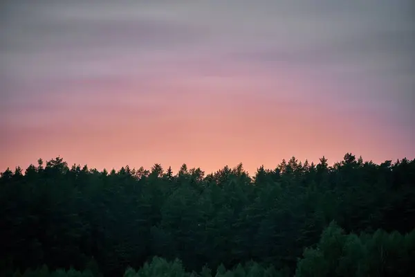 Sunset sky over the forest. A Sunset Glow Behind a Dense Forest Creating a Beautiful Silhouette of Trees Against the Evening Sky.