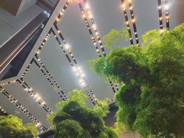 Lobisinde yeşil bir ağaç olan modern bir iç mekan. Ofis binası veya otel, tasarıma gerçek bir fabrika ekleyen sürdürülebilir bir mimariyi takip ediyor. Doğal olarak oksijen üretildi.