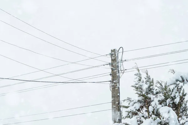 Electricity and snow. electric wires and pylons that are frosted with snow. nature and technology in winter.