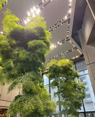 Lobisinde yeşil bir ağaç olan modern bir iç mekan. Ofis binası veya otel, tasarıma gerçek bir fabrika ekleyen sürdürülebilir bir mimariyi takip ediyor. Doğal olarak oksijen üretildi.