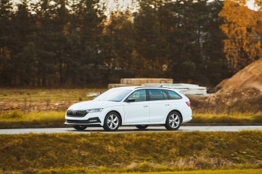 Alacakaranlıkta modern bir araba sürüyorum. Ormanın ve yolun manzaralı manzarası maceraperest yolcuları bekliyor..