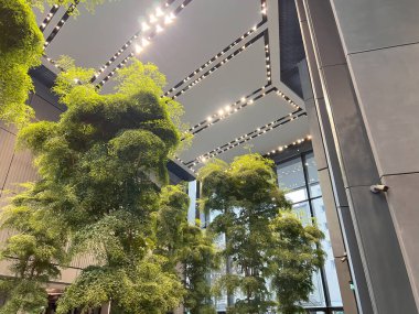 Doğa, modern bir lobide ağaçla karşılaşır. Ofis binası ya da otelin yeşil bir konsepti var ve bu konsept gerçek bir fabrikayı uzaya entegre ediyor. Beton ve doğa.