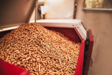 Biyoyakıt ve Teknoloji. Evde konforlu ve sıcak bir şömine oluşturmak için ağaç peletleri yakan bir pelet soba..