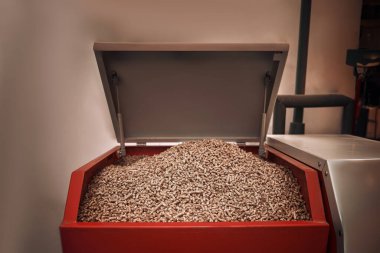 Ayrılmış bir evde ısıtma ve konfor sağlamak için Biyoyakıt ile Pellet Stove Works. Sürdürülebilir ev