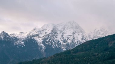 Highland Yalnızlığı: Bulutlarla çevrili Dağ Tepeleri Arasındaki Huzurlu Anlar