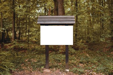 Ormandaki yürüyüş yolunda boş tabela.