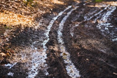 Ormanda çamur ve çamur izi var. Yabanda off-road kamyonu.
