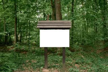 Orman yolu boyunca rehberlik. Boş bilgi aktarma modeli.