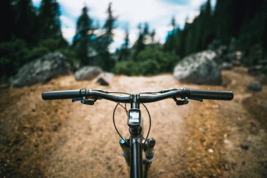 Doğaya Bisikletçi Yolculuğu. Güneş Işığı Ormanı Aşağı Tepeler