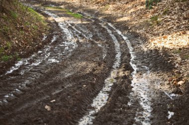 Ormanda çamur ve çamur izi var. Yabanda off-road kamyonu.