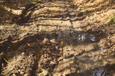Ormanda çamur ve çamur izi var. Yabanda off-road kamyonu.