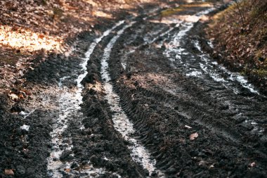 Kırsal Patika Yarışması: Ormanın İçindeki Açık Yol İzleri