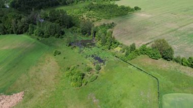 Orman ve tarlalarla çevrili Sakin Gölet 'li Bataklık Biomu