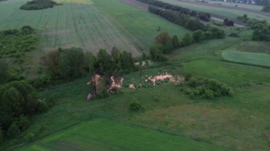 Bereketli Ormanın Ortasındaki Huzurlu Bataklık