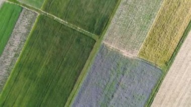 Ürün rotasyonu ve çeşitliliği olan sürdürülebilir tarım