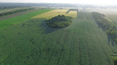 Ağaçlı ve tarlalı kırsal arazinin havadan görünüşü