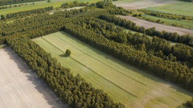 Sylvan Peyzaj ve Tarım Havadan Görünümü