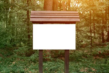 Orman yolu boyunca rehberlik. Boş bilgi aktarma modeli.