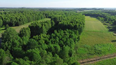 Bereketli Manzaralar: Ağaçlar ve Topraklı Alanlar