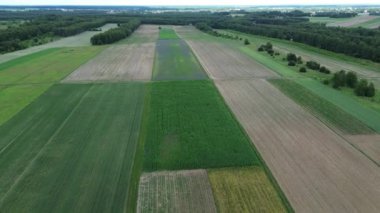 Tarım alanında ürün rotasyonu ve ürün çeşitliliği