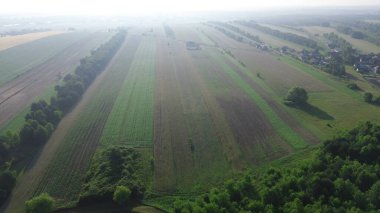 Yoğun ormanın ve kırsal alanların sabahları insansız hava aracı görüntüleri.