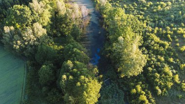Ormanın Yakınındaki Bir Göletin Havadan Çekimi