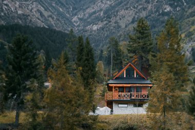 Konforlu bir Hillside Kulübesinde Sonbahar İnzivası