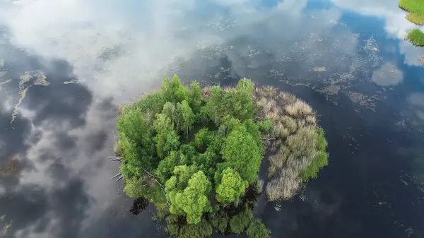 stock image Scenic lake with lush green island and sky reflection