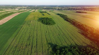 Drone kırsal araziyi altın saatinde yakalıyor, yeşil ve sarı tarlaları gösteriyor.