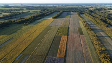 Altın Saat Tarlaları Geometrik Ekin Kalıplarını Göster