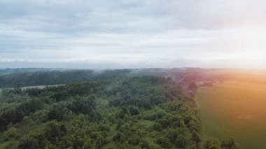 Bereketli Orman Yumuşak Şafak Işığı Altında Banyo