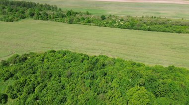 Bereketli Manzaralar: Ağaçlar ve Topraklı Alanlar