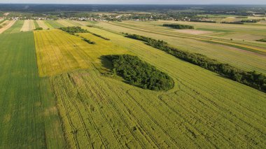 Geometrik desenli Engin Tarım Alanlarında Günbatımı