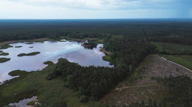 Orman Yeniden Ormanlanma ve Büyüme Hava Perspektifi
