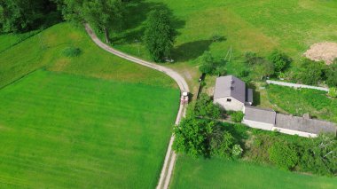 Yeşillik alanlarda kırsal bir yolda traktör sürüyor