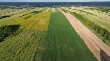 Altın Saat Işığında Geometrik Ekin Örnekleri