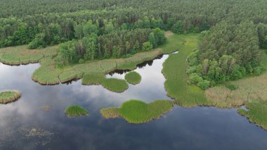 Gökyüzü yansımalı orman ve göl manzarası