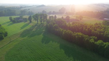 Gökyüzünden yeşil orman ve tarlalar üzerinde puslu bir sabah