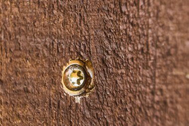 Tahtadaki altıgen cıvatanın detaylı görüntüsü