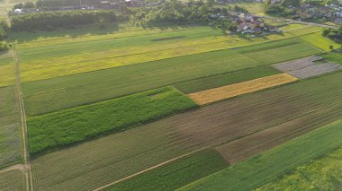 Drone Günbatımında Renkli Çiftlik Alanlarını Yakalıyor